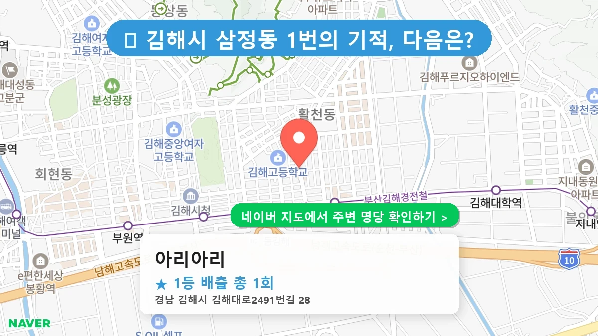 아리아리 네이버 지도