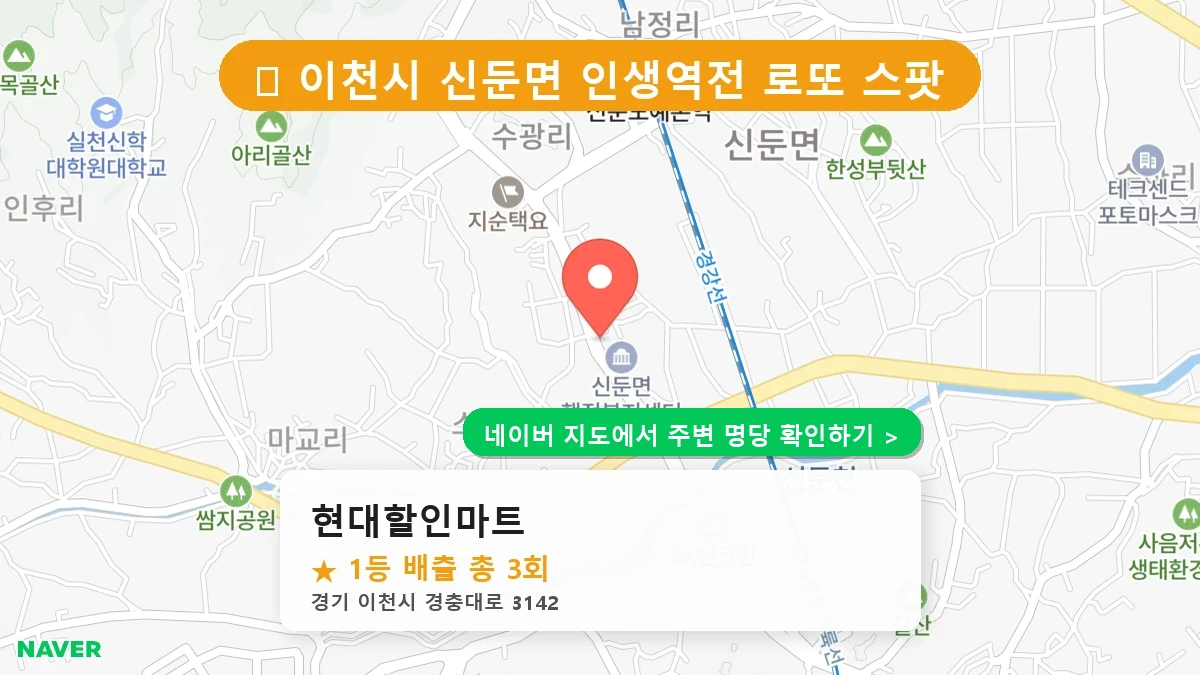 현대할인마트 네이버 지도
