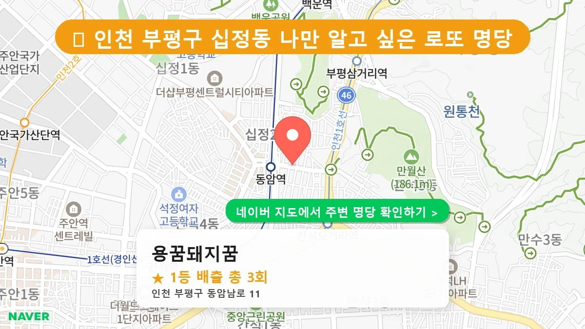 용꿈돼지꿈 네이버 지도