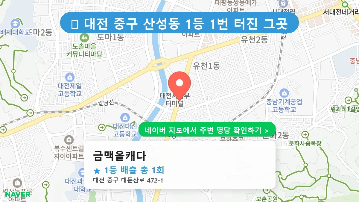 금맥을캐다 네이버 지도