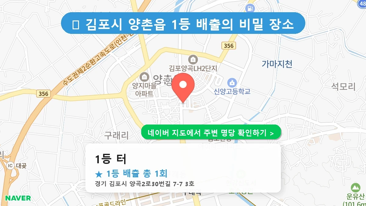 1등 터 네이버 지도