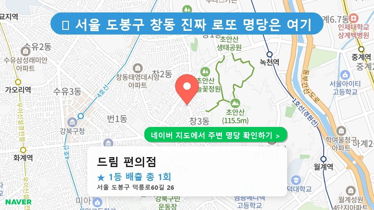 드림 편의점 네이버 지도