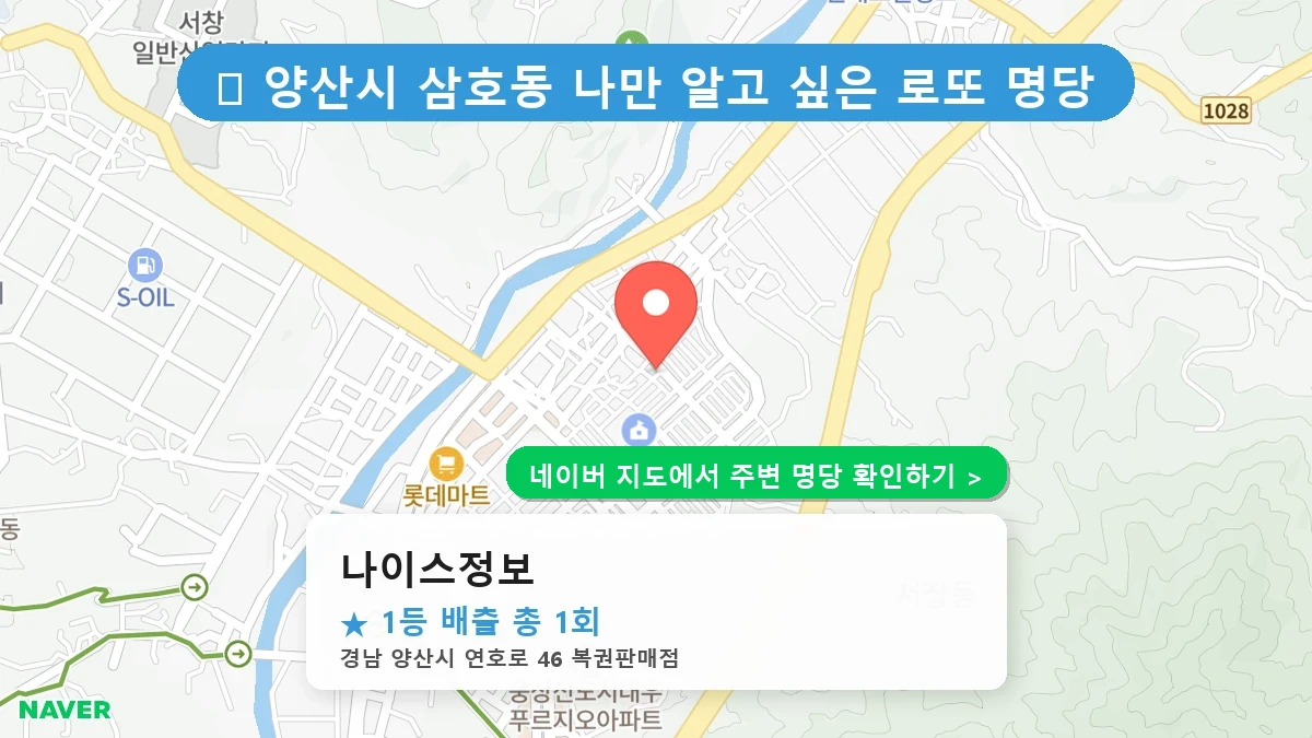 나이스정보 네이버 지도