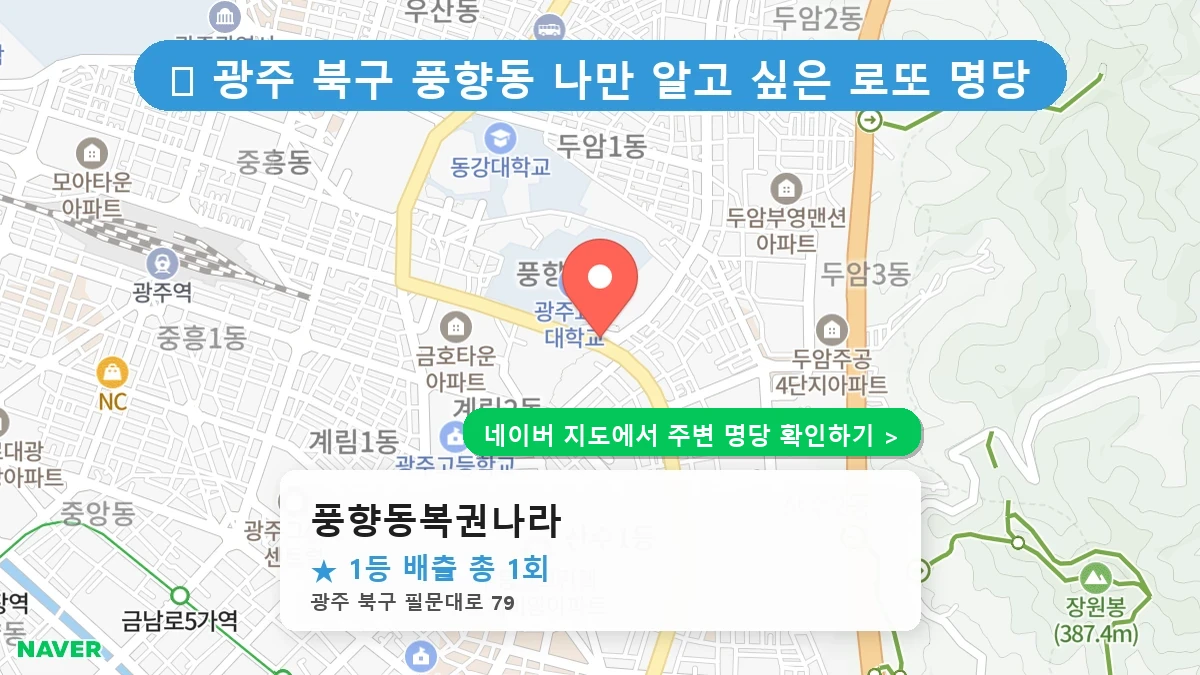 풍향동복권나라 네이버 지도