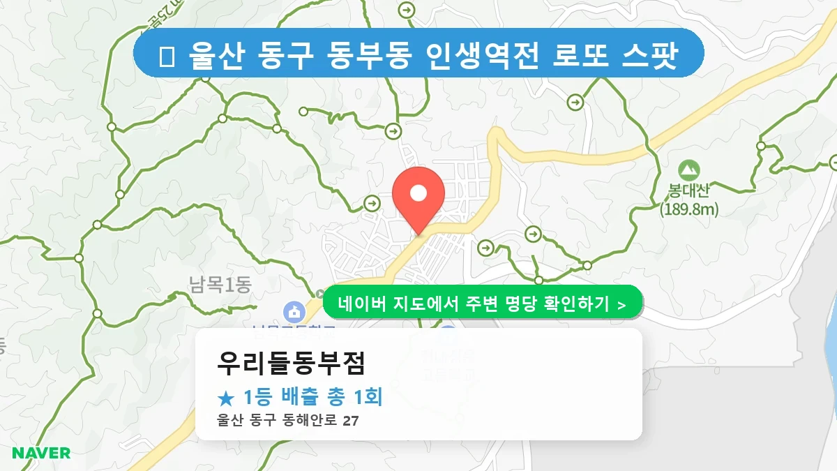 우리들동부점 네이버 지도