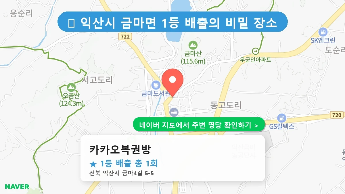 카카오복권방 네이버 지도