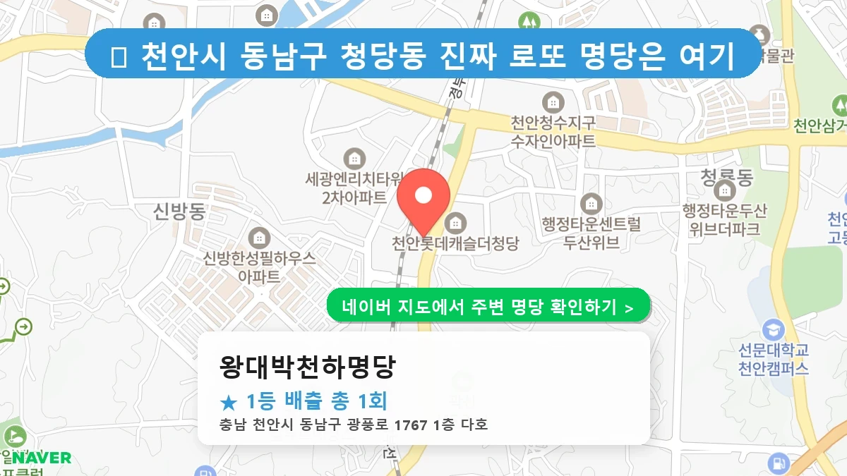 왕대박천하명당 네이버 지도