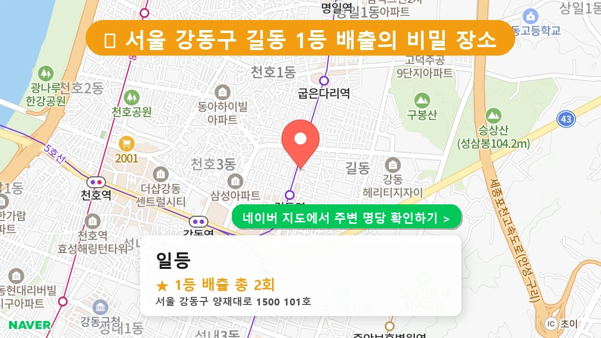 일등 네이버 지도