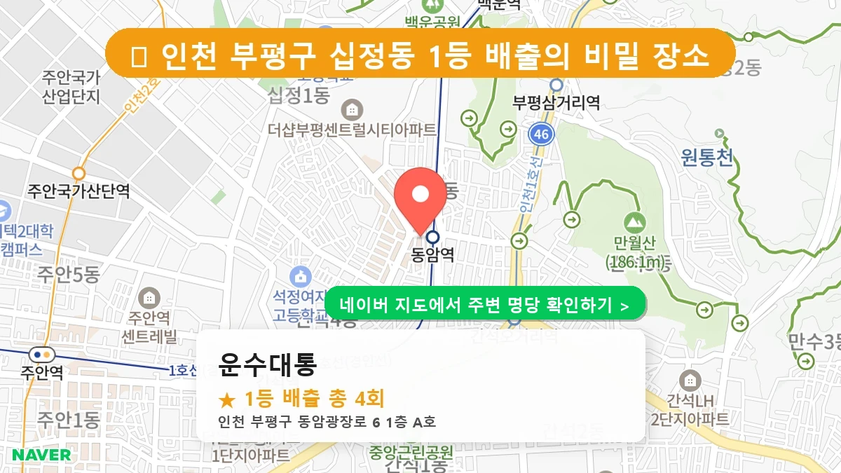 운수대통 네이버 지도