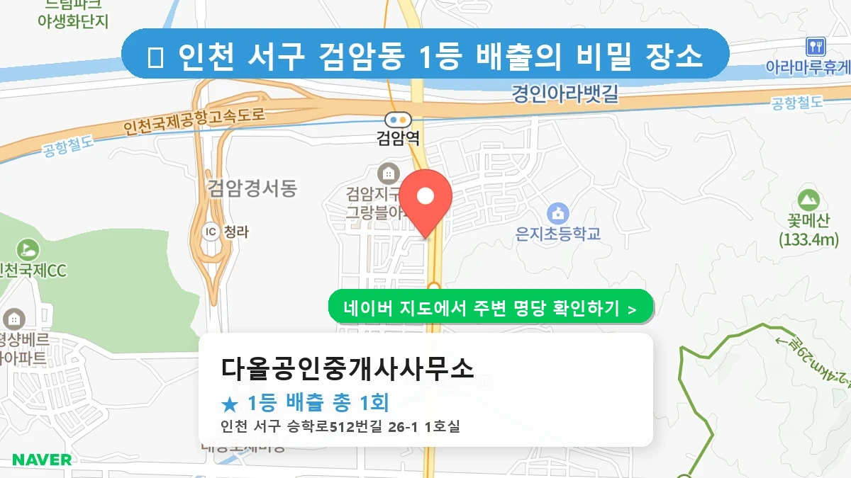 다올공인중개사사무소 네이버 지도
