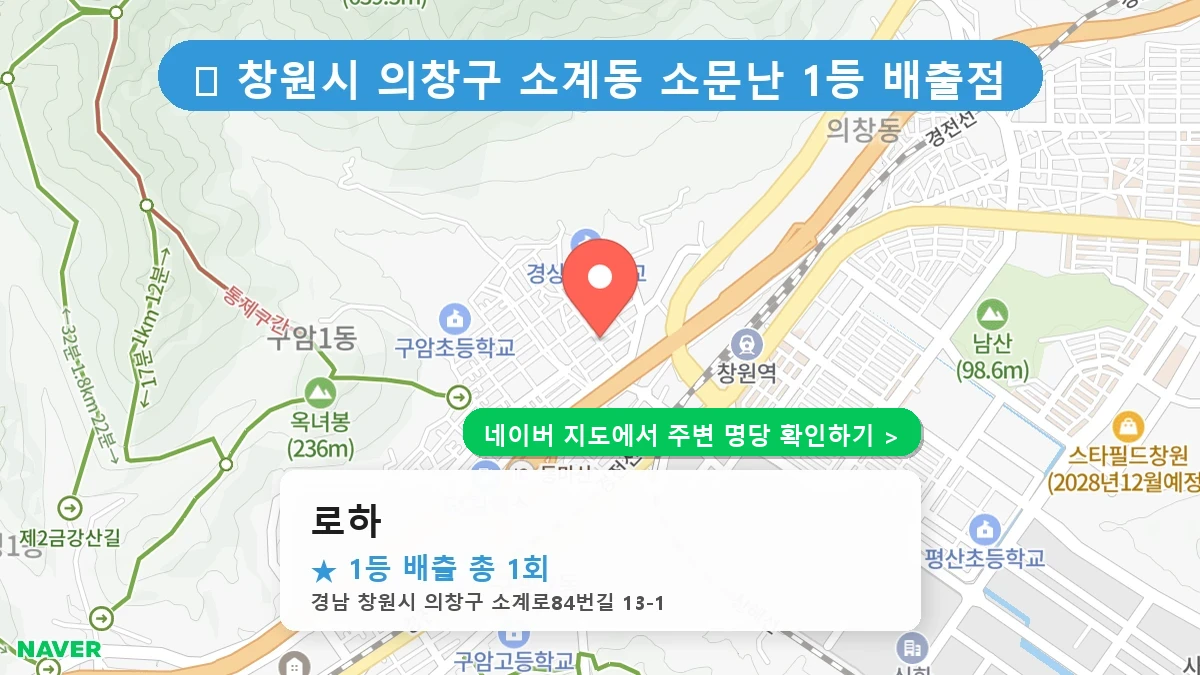 로하 네이버 지도