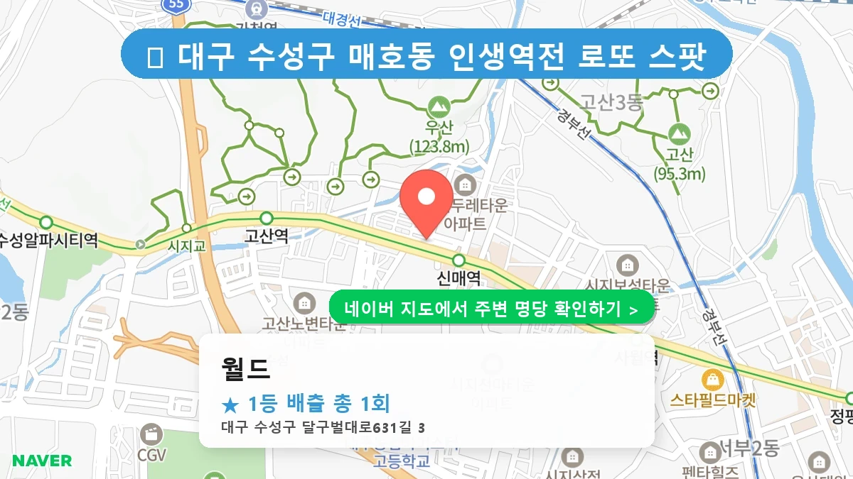 월드 네이버 지도