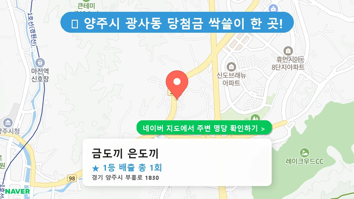 금도끼 은도끼 네이버 지도