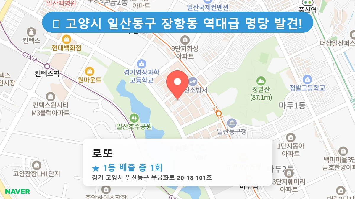 경기 고양시 일산동구 장항동 장항동 로또 명당 로또 1등 당첨 배출점 전경