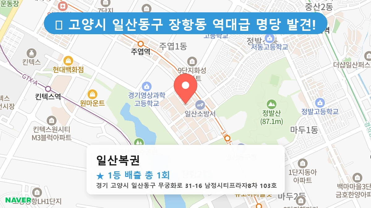 경기 고양시 일산동구 장항동 장항동 로또 명당 일산복권 1등 당첨 배출점 전경