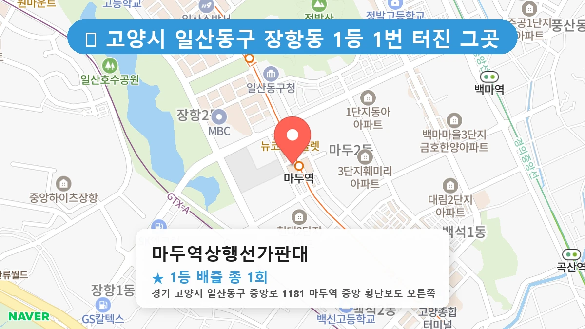 경기 고양시 일산동구 장항동 장항동 로또 명당 마두역상행선가판대 1등 당첨 배출점 전경
