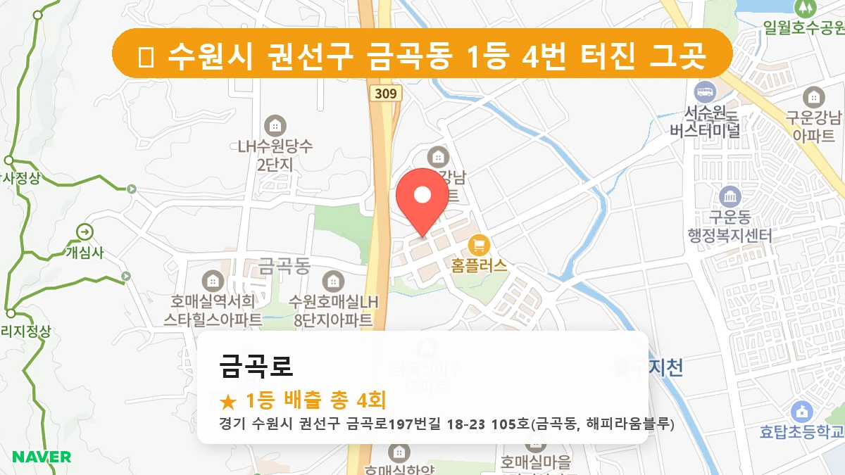 경기 수원시 권선구 금곡동 로또 명당 금곡로 1등 당첨 배출점 전경