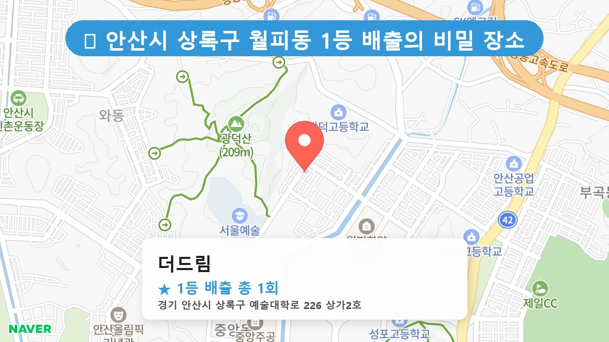 경기 안산시 상록구 월피동 월피동 로또 명당 더드림 1등 당첨 배출점 전경