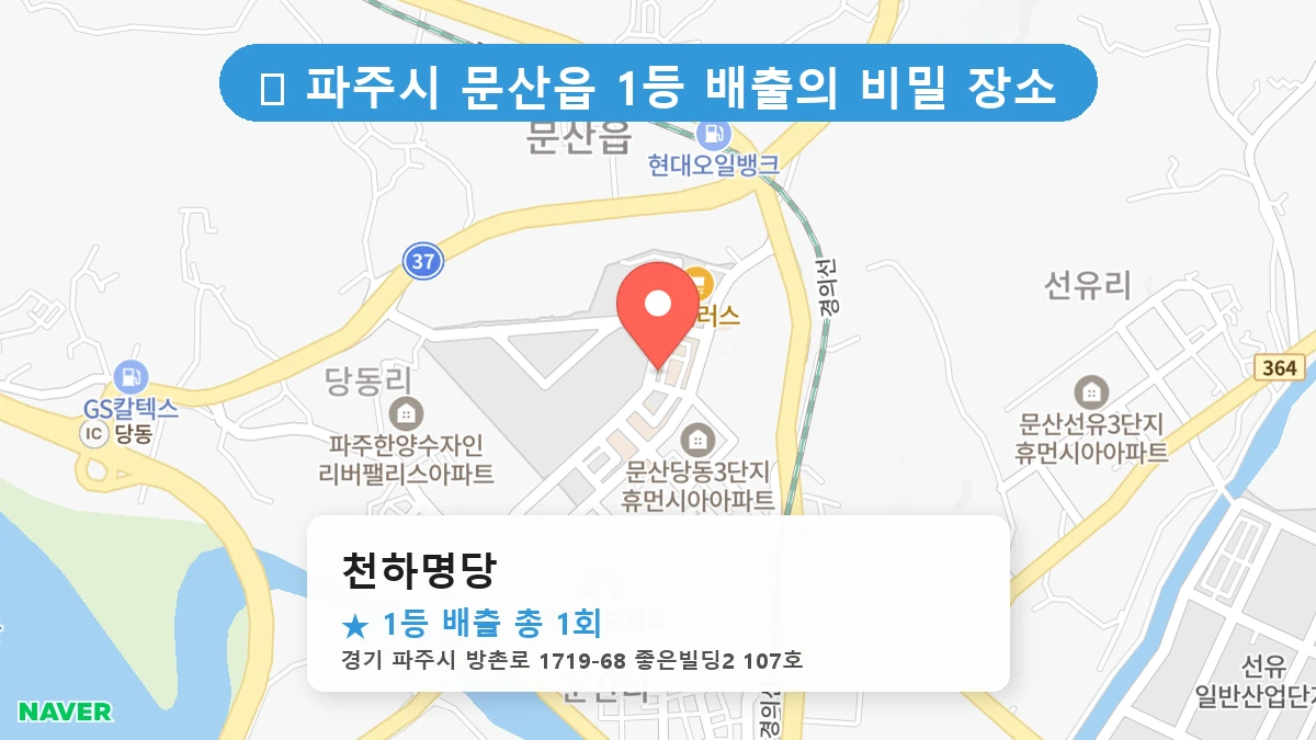경기 파주시 문산읍 문산읍 로또 명당 천하명당 1등 당첨 배출점 전경