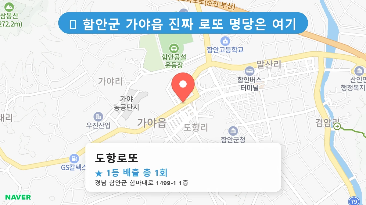 경남 함안군 가야읍 가야읍 로또 명당 도항로또 1등 당첨 배출점 전경